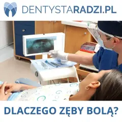 Dentysta analizuje zdjęcie RTG, pokazując pacjentce, które zęby trzonowe mogą być przyczyną bólu.