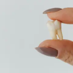 Co dentysta robi z wyrwanym zębem? Prawo, utylizacja, bankowanie.