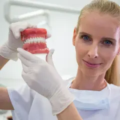 Dentystka w białej rękawiczce pokazuje model szczęki z aparatem ortodontycznym. Zastanawiasz się, ile zarabia dentysta?