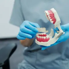 Ortodonta w niebieskich rękawiczkach pokazuje model szczęki z przezroczystą szyną ortodontyczną.