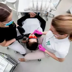 Dwie asystentki stomatologiczne pracują przy pacjencie. Jedna podaje narzędzia, druga wykonuje zabieg.