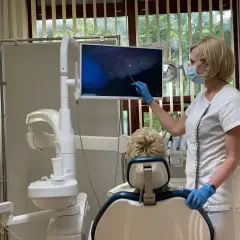 Dentystka pokazuje pacjentowi obraz z kamery wewnątrzustnej. Czy dentysta może wystawić L4? Tak, jeśli stan zdrowia pacjenta tego wymaga.