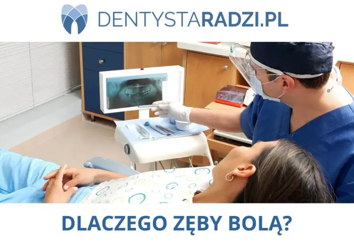 Dentysta analizuje zdjęcie RTG, pokazując pacjentce, które zęby trzonowe mogą być przyczyną bólu.