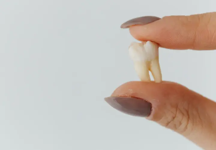 Co dentysta robi z wyrwanym zębem? Prawo, utylizacja, bankowanie.
