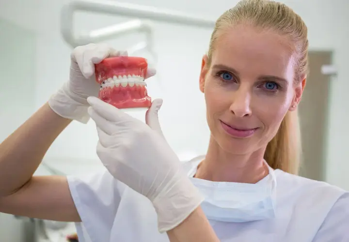 Dentystka w białej rękawiczce pokazuje model szczęki z aparatem ortodontycznym. Zastanawiasz się, ile zarabia dentysta?