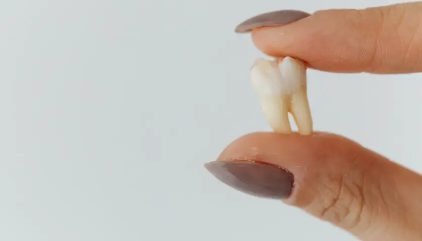 Co dentysta robi z wyrwanym zębem? Prawo, utylizacja, bankowanie.