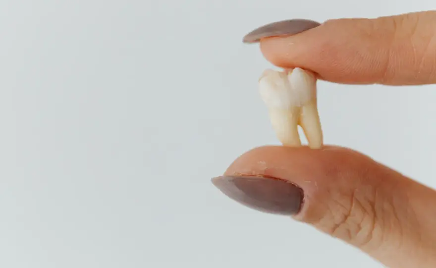 Co dentysta robi z wyrwanym zębem? Prawo, utylizacja, bankowanie.