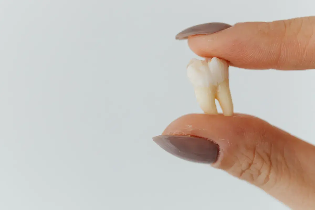 Co dentysta robi z wyrwanym zębem? Prawo, utylizacja, bankowanie.